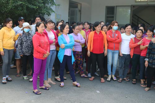 BHXH TP HCM từ chối cho C&ocirc;ng ty Nam Phương khất nợ - Ảnh 1.