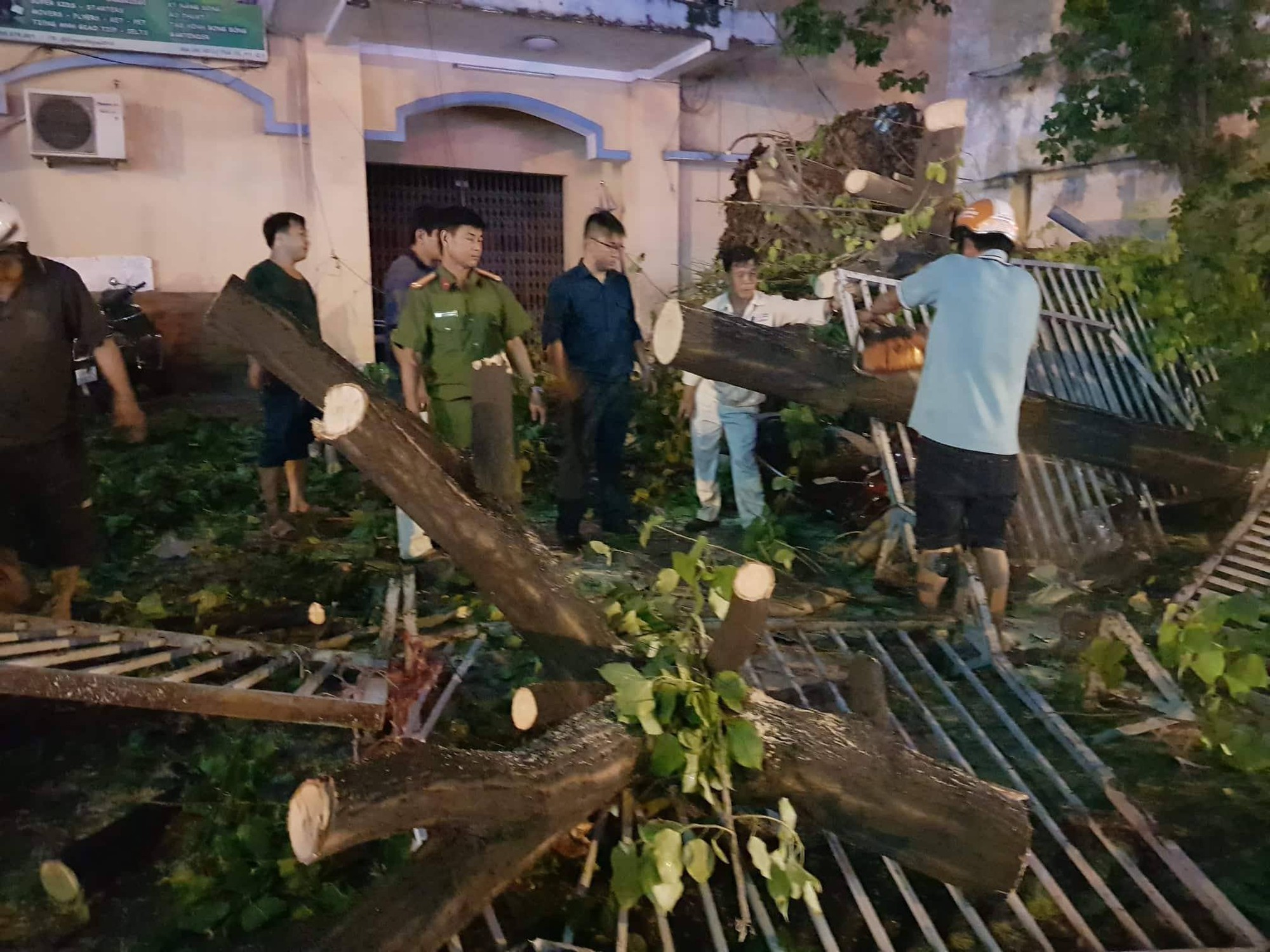 C&acirc;y xanh g&atilde;y đổ đ&egrave; h&agrave;ng loạt xe m&aacute;y tại TP HCM - Ảnh 4.