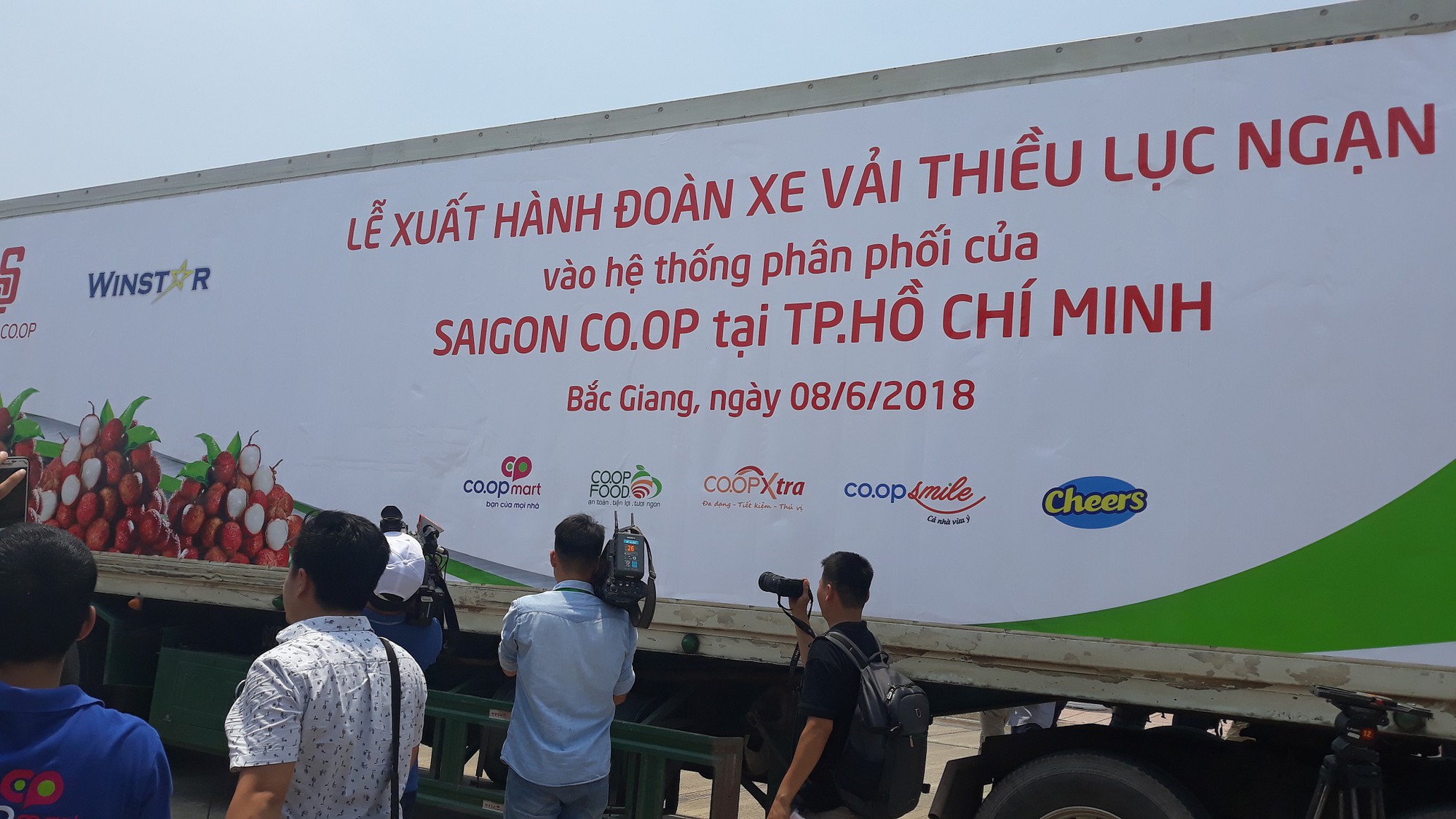 Đến Co.opmart ngắm cây vải và mua vải thiều Lục Ngạn chính gốc