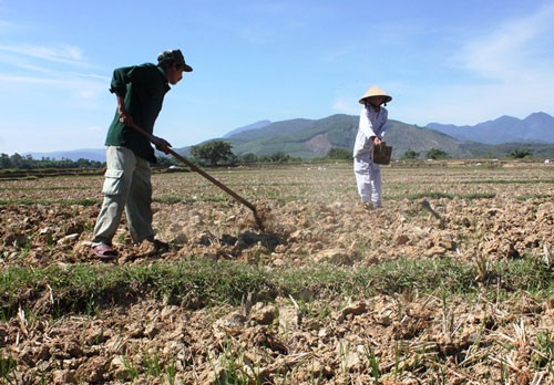 Quay cuồng trong nắng nóng