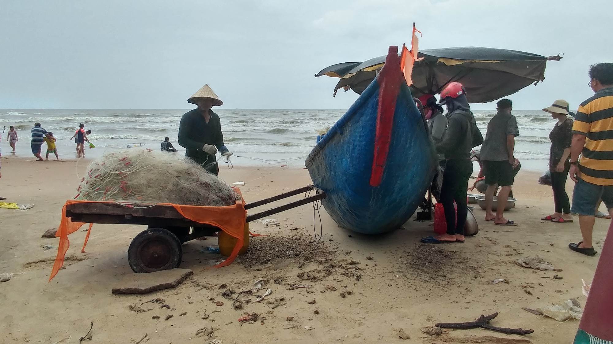 R&aacute;c đ&atilde; độc chiếm b&atilde;i biển ấp Hồ Tr&agrave;m! - Ảnh 8.