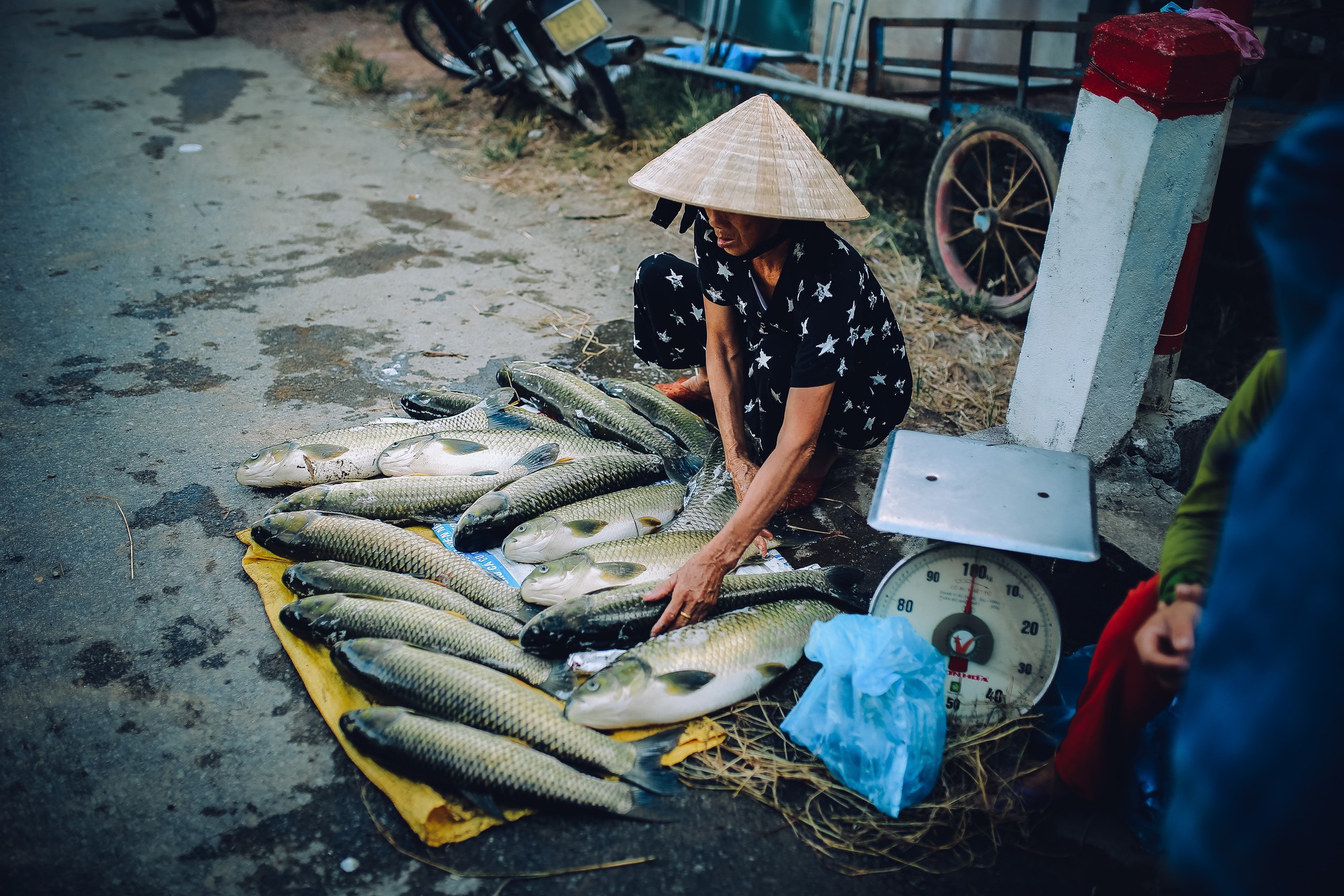 Dân khóc ròng vì cá nuôi chết hàng loạt - Ảnh 1.