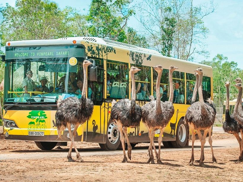 Vịnh Hạ Long: điểm đến h&agrave;ng đầu VN 2018 - Ảnh 25.