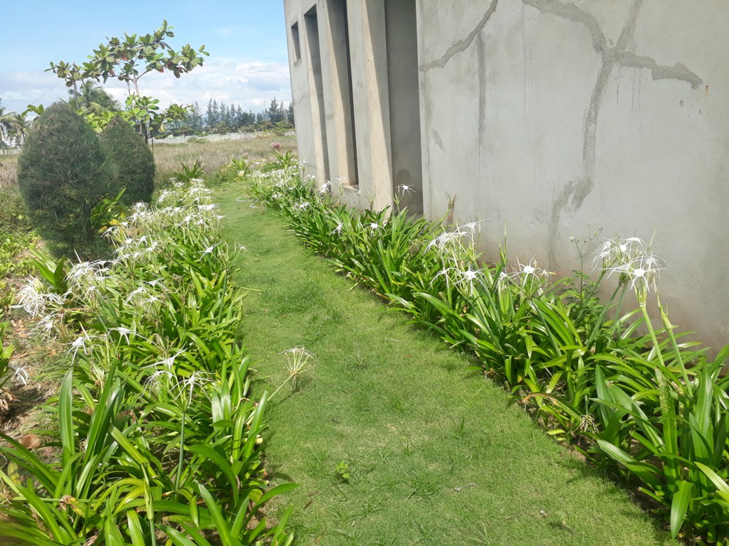 Chưa thu hồi dự &aacute;n của H&ograve;n Ngọc &Aacute; Ch&acirc;u - Ảnh 4.