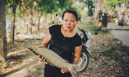 (eMagazine) - Đánh cược trên sông Bồ