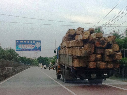 Tiền Giang điều tra và xử lý hàng loạt vụ án tham nhũng