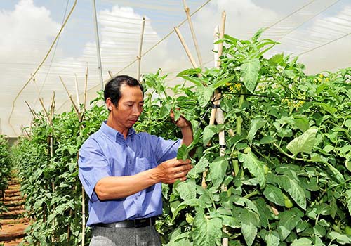 Bí quyết làm giàu của nông dân tỉ phú