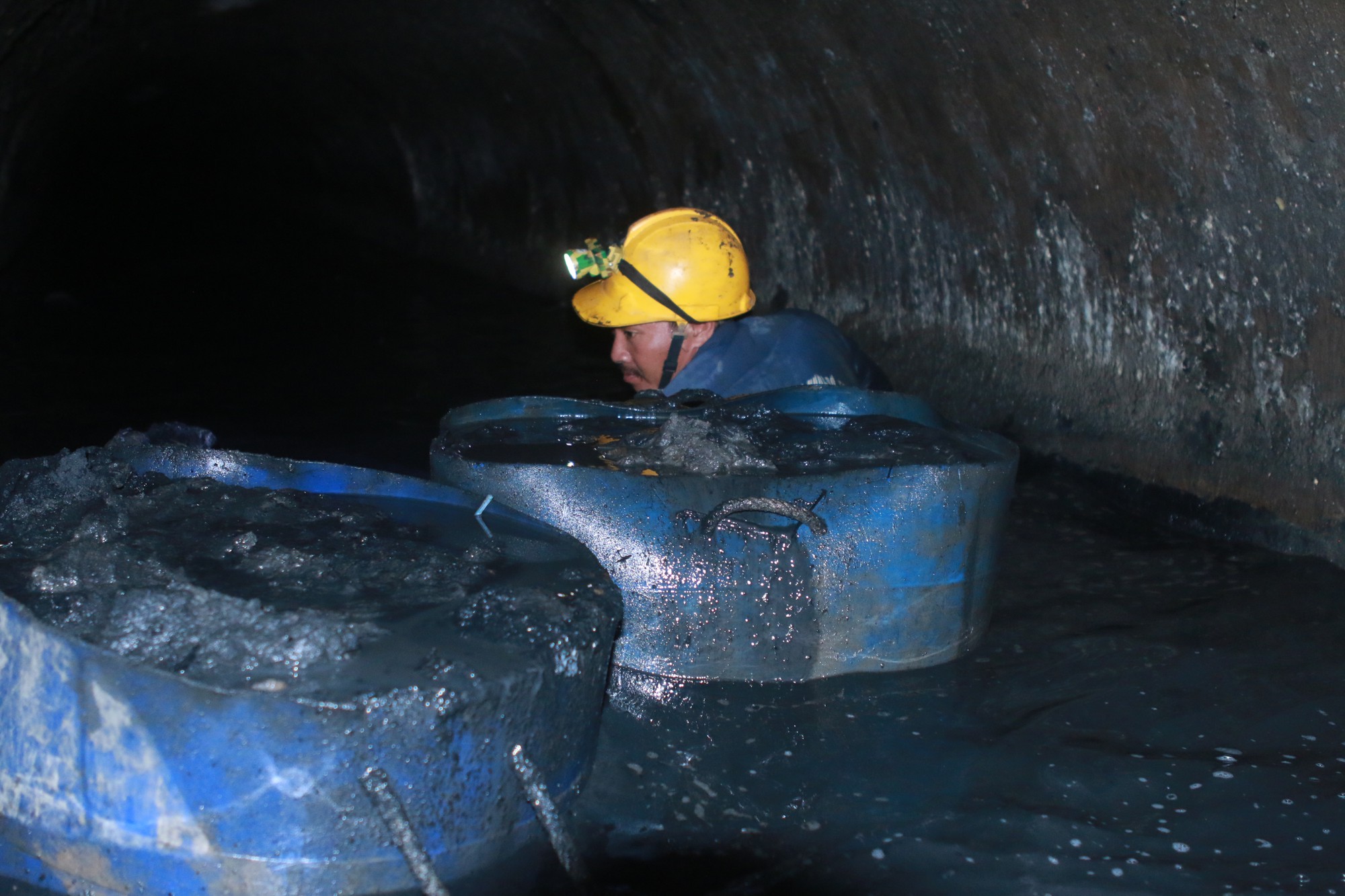 Những đốm sáng lặng lẽ - Ảnh 5.