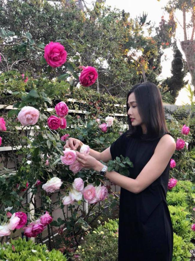 Hoa hậu Dương Mỹ Linh khoe vườn hoa hồng v&agrave; c&acirc;y ăn quả ở Mỹ - Ảnh 1.