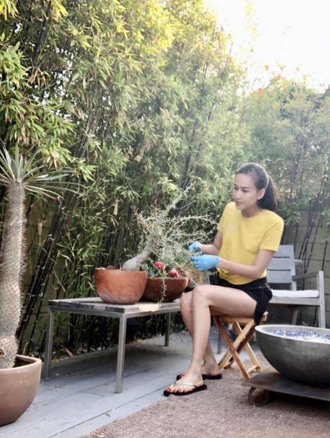 Hoa hậu Dương Mỹ Linh khoe vườn hoa hồng v&agrave; c&acirc;y ăn quả ở Mỹ - Ảnh 10.