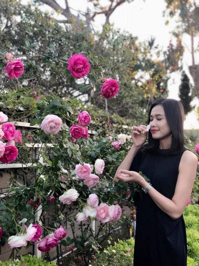 Hoa hậu Dương Mỹ Linh khoe vườn hoa hồng v&agrave; c&acirc;y ăn quả ở Mỹ - Ảnh 3.