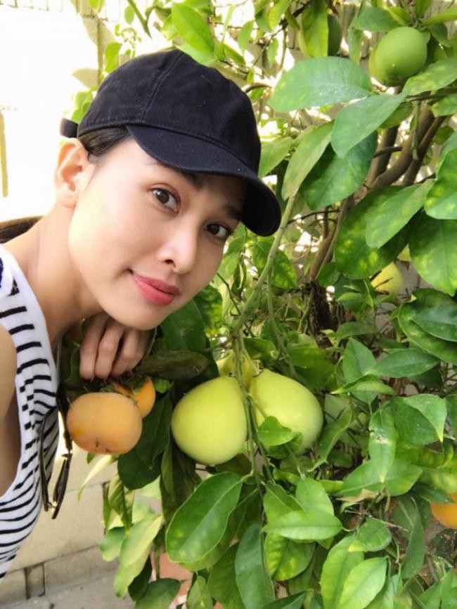 Hoa hậu Dương Mỹ Linh khoe vườn hoa hồng v&agrave; c&acirc;y ăn quả ở Mỹ - Ảnh 4.