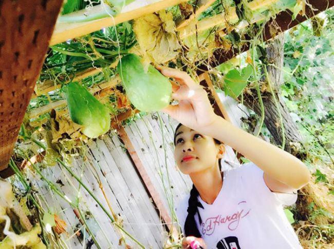 Hoa hậu Dương Mỹ Linh khoe vườn hoa hồng v&agrave; c&acirc;y ăn quả ở Mỹ - Ảnh 8.