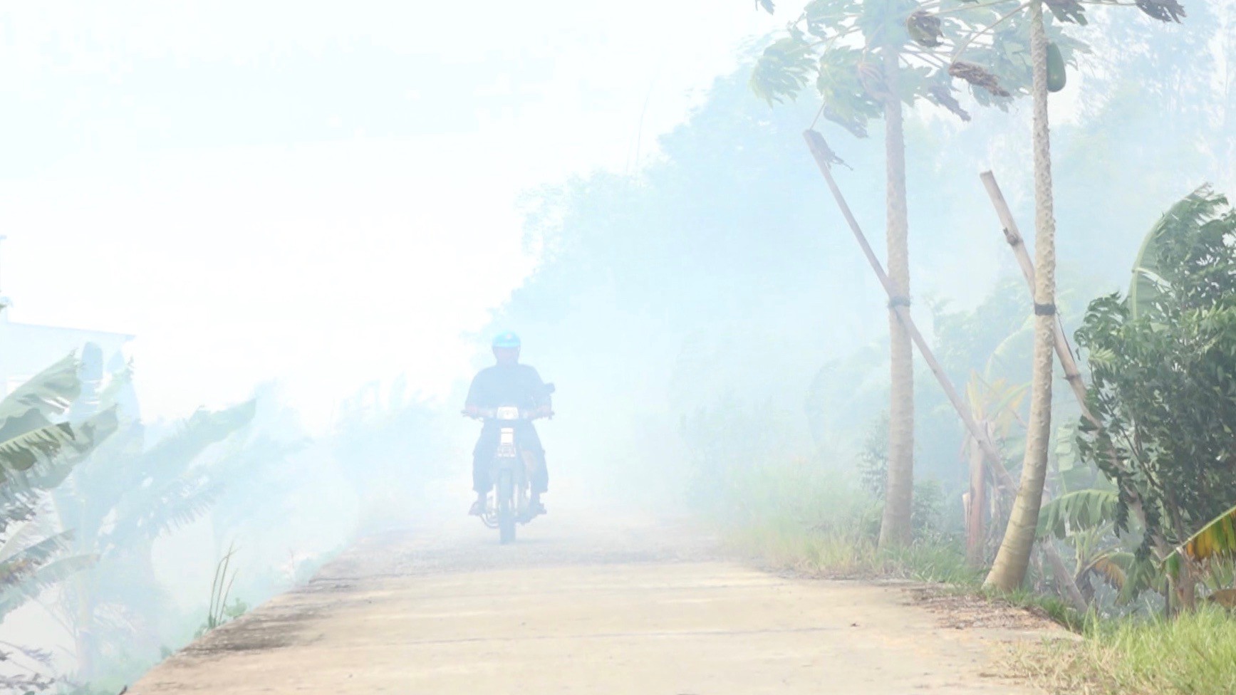 &ldquo;Ớn lạnh&rdquo; việc đốt đồng ở miền T&acirc;y tiềm ẩn tai nạn giao th&ocirc;ng - Ảnh 8.