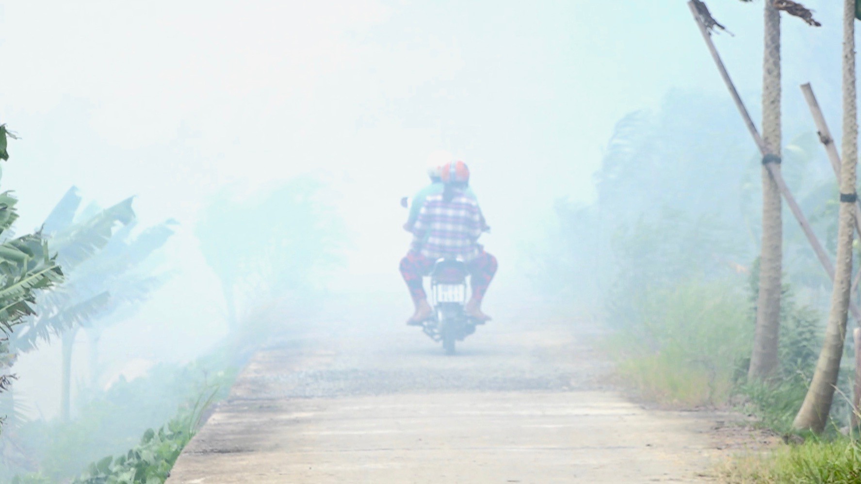 &ldquo;Ớn lạnh&rdquo; việc đốt đồng ở miền T&acirc;y tiềm ẩn tai nạn giao th&ocirc;ng - Ảnh 9.