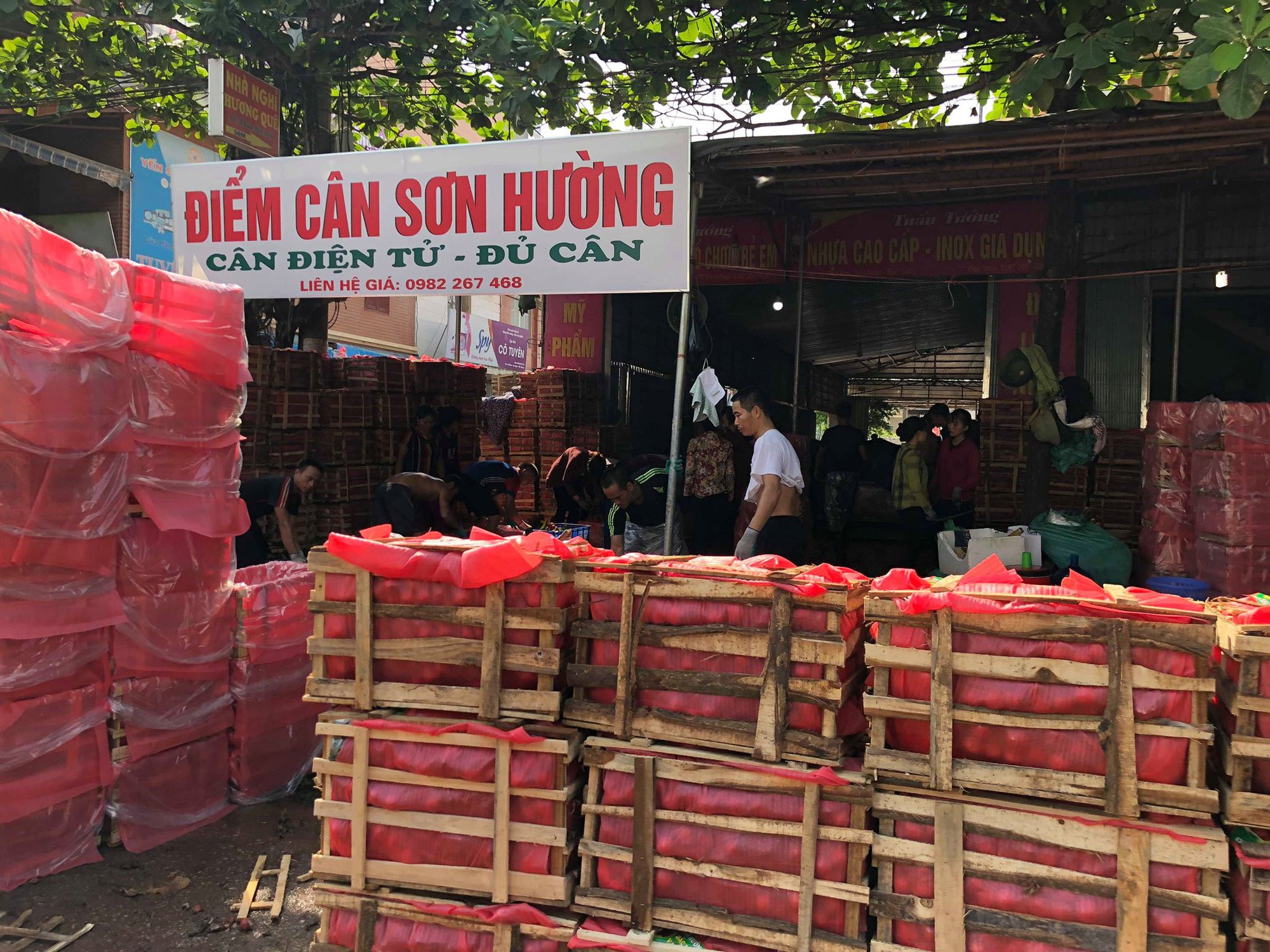 Vải thiều Bắc Giang xuất khẩu đi khắp thế giới - Ảnh 1.
