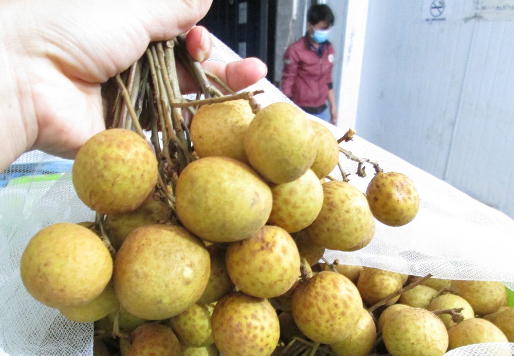 98% nhãn Việt Nam xuất khẩu là bán cho Trung Quốc
