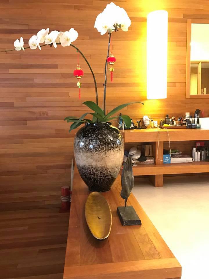 Ngắm biệt thự triệu đ&ocirc; của ca sĩ Quang Dũng tại Mỹ - Ảnh 11.