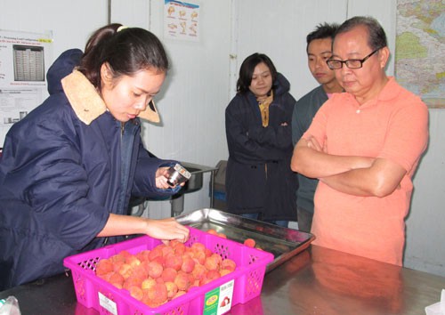 Áp lực từ cuộc chiến thương mại Mỹ - Trung (*): Nông sản Việt sẽ ra sao?