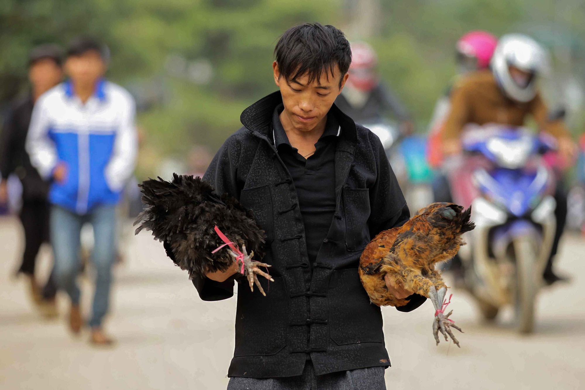 Du lịch ở Hà Giang có gì hấp dẫn? - Ảnh 18.