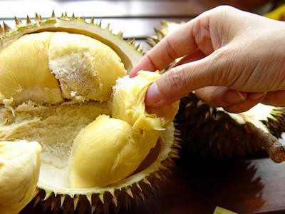 Mùa sầu riêng, ai thích ăn tuyệt đối phải tránh điều này