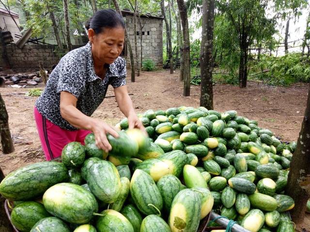 X&atilde; ngưng hoạt động, chợ đ&oacute;ng cửa v&igrave; ngập s&acirc;u trong biển nước - Ảnh 12.