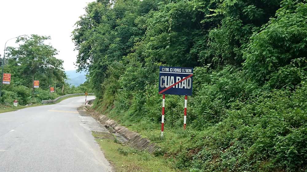 Ngỡ ngàng giáo viên tiểu học biến hình thành... ông trùm! - Ảnh 2.