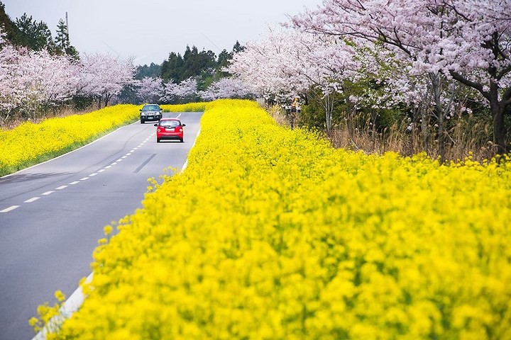 Những địa điểm cầu hôn khiến nàng gật đầu ngay - Ảnh 5.