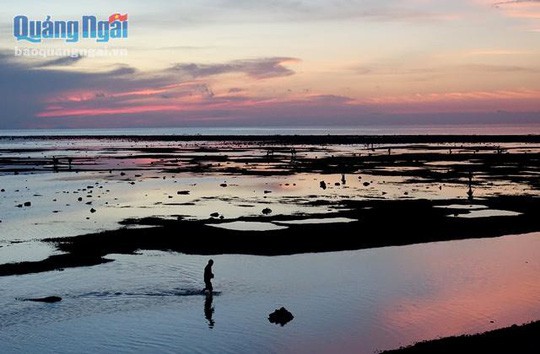 Chờ thủy triều r&uacute;t đi săn con ăn b&eacute;o ngậy - Ảnh 7.