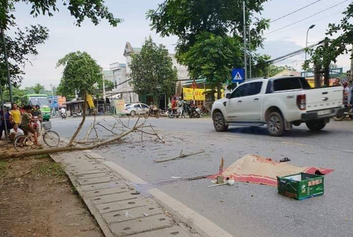 Bị cành cây rơi trúng xe máy, chồng tử vong, vợ bị thương