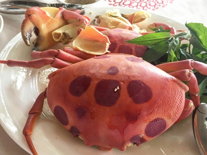 Nh&agrave; gi&agrave;u Việt săn l&ugrave;ng cua Mặt trăng qu&yacute; hiếm - Ảnh 6.