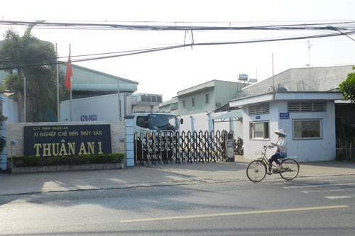 Vụ chuỗi nuôi cá tra ở An Giang đổ vỡ: Phải kiện ra tòa!