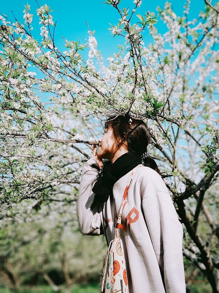 Đến Sơn La, đừng qu&ecirc;n kh&aacute;m ph&aacute; những địa danh tuyệt đẹp n&agrave;y - Ảnh 4.