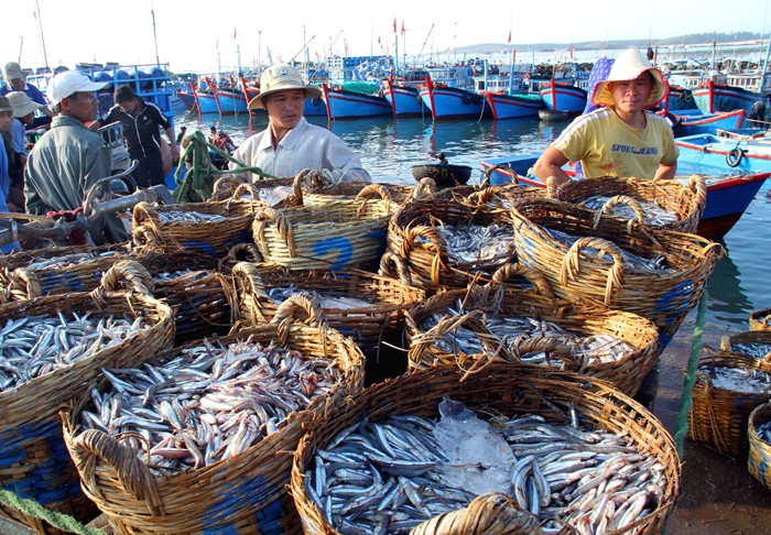 Ngư dân Ninh Thuận với những chuyến biển đầy ắp cá