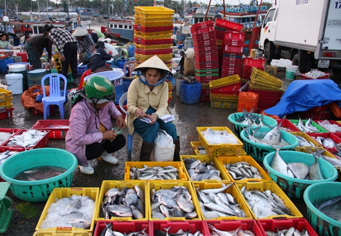 Ngư d&acirc;n Ninh Thuận với những chuyến biển đầy ắp c&aacute; - Ảnh 4.