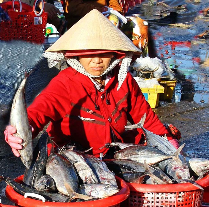 Ngư d&acirc;n Ninh Thuận với những chuyến biển đầy ắp c&aacute; - Ảnh 5.