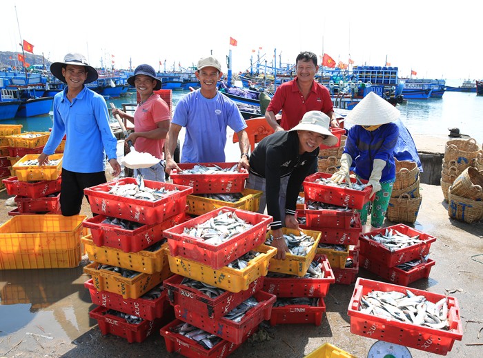 Ngư d&acirc;n Ninh Thuận với những chuyến biển đầy ắp c&aacute; - Ảnh 7.