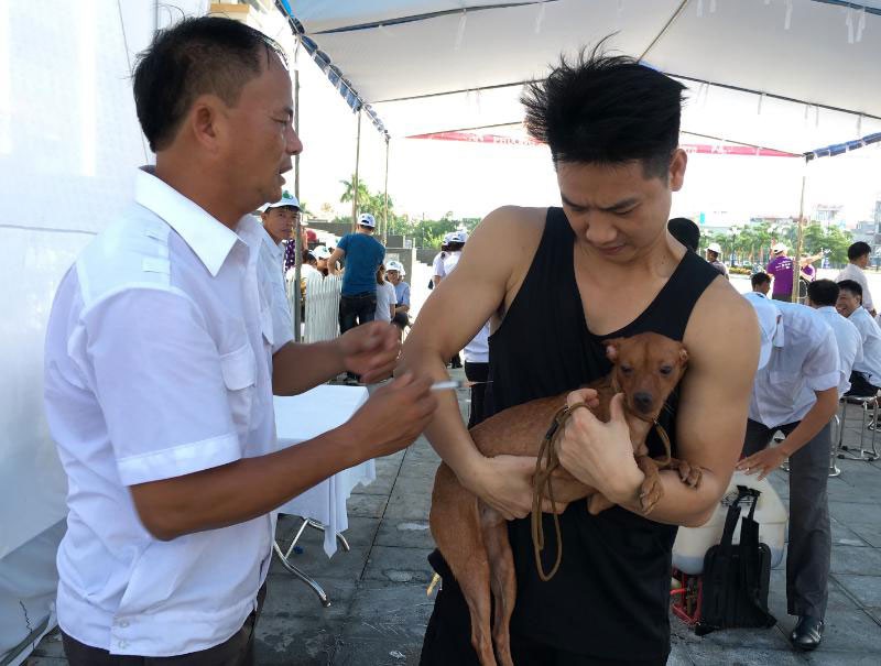 Kinh hoàng "thú cưng" gây họa