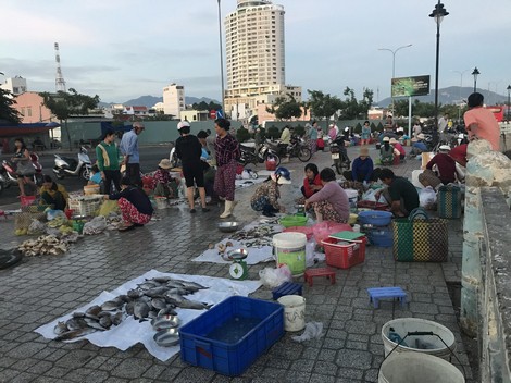Đi t&igrave;m thần dược c&aacute; ngựa c&oacute; t&aacute;c dụng trong chuyện ph&ograve;ng the - Ảnh 3.