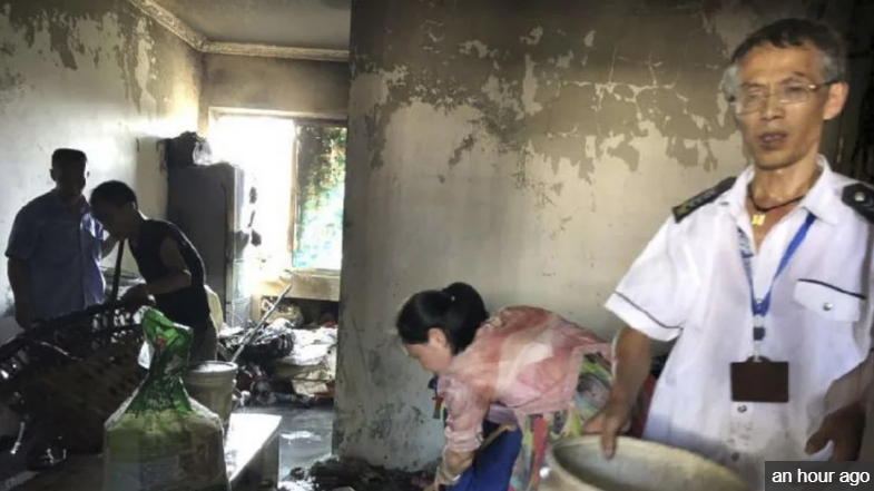 Chó bị siêu xe tông, chủ chó phải bồi thường hơn 6.000 USD - Ảnh 3.