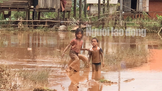THẢM HOẠ VỠ ĐẬP THUỶ ĐIỆN: Động vật chết khắp nơi, trẻ em lội bùn nhận cứu trợ