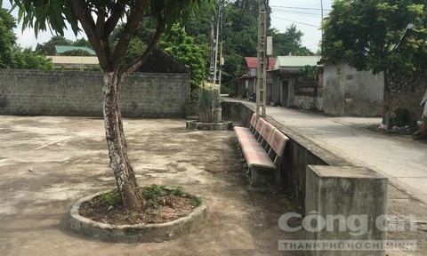 Chồng mới chết, vợ đưa người tình về nhà và cái kết đau lòng