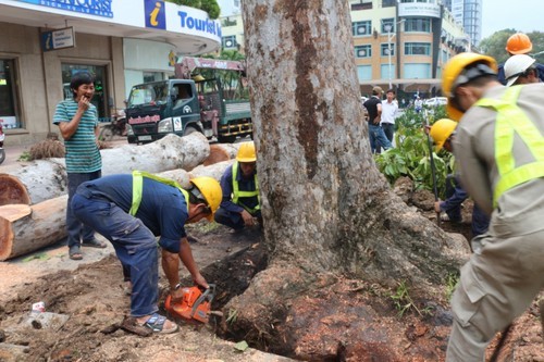 Đề xuất mở rộng loại công việc được sử dụng lao động là người chưa thành niên