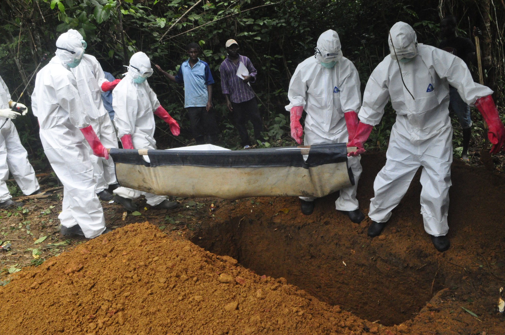 Phát hiện chủng mới của virus Ebola khét tiếng