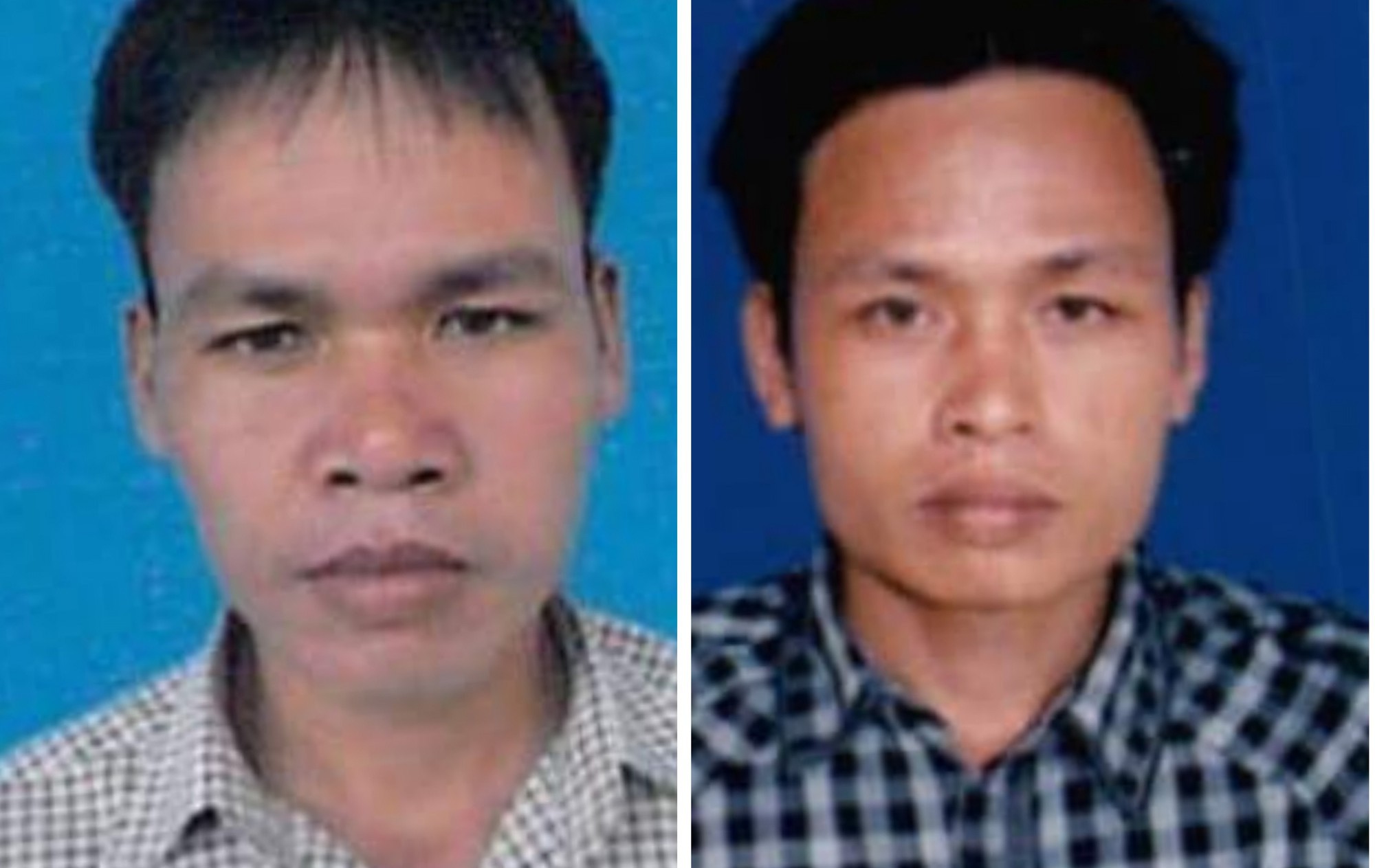 2 kẻ chủ mưu phá rừng lim cổ thụ trốn truy nã ra đầu thú