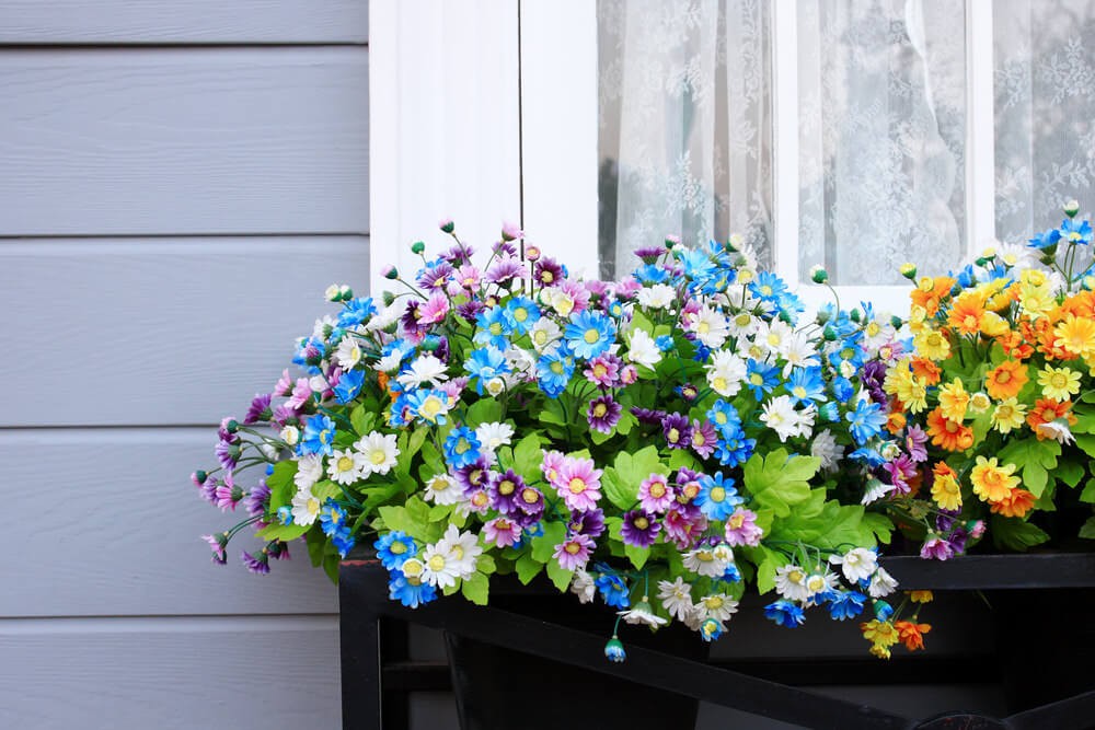 Những khung cửa sổ đẹp h&uacute;t hồn nhờ sắc hoa rực rỡ - Ảnh 5.