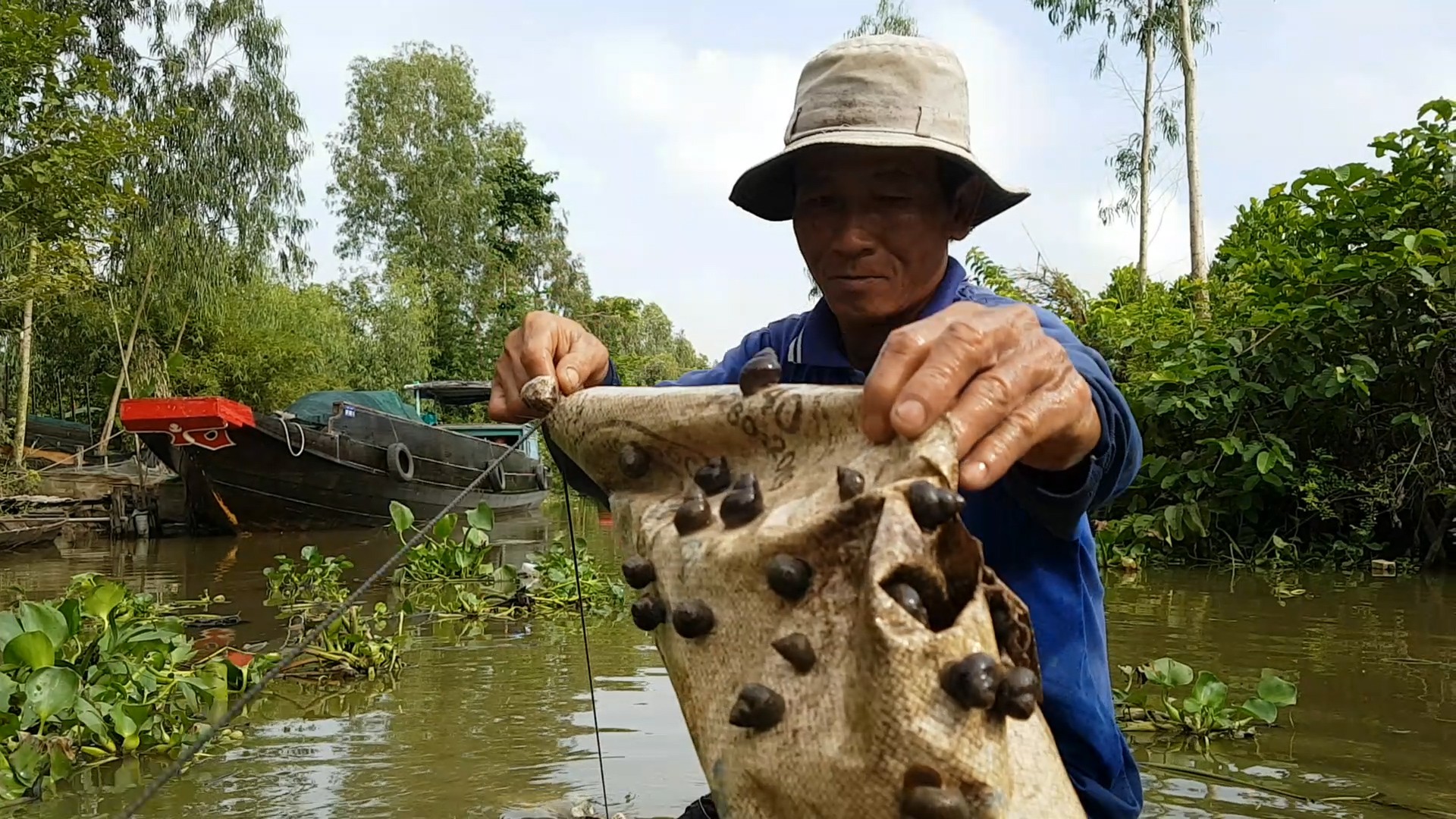 Tuyệt chiêu bắt ốc đắng kiếm tiền triệu mỗi ngày của lão nông miền Tây