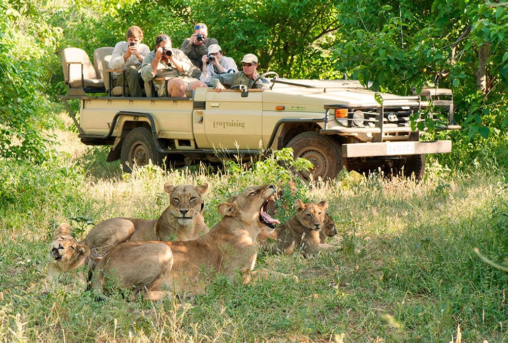Những điểm du lịch một mình không cô độc - Ảnh 2.