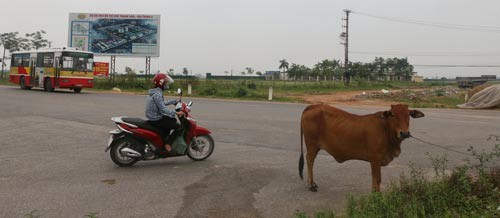 Hà Nội sau 10 năm mở rộng (*): Còn đó những nỗi lo