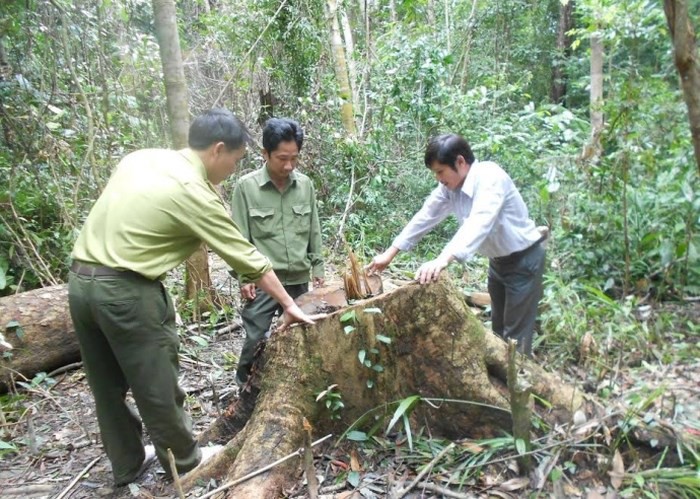 L&acirc;m tặc vội trốn chạy, để qu&ecirc;n cả... hộ khẩu - Ảnh 1.
